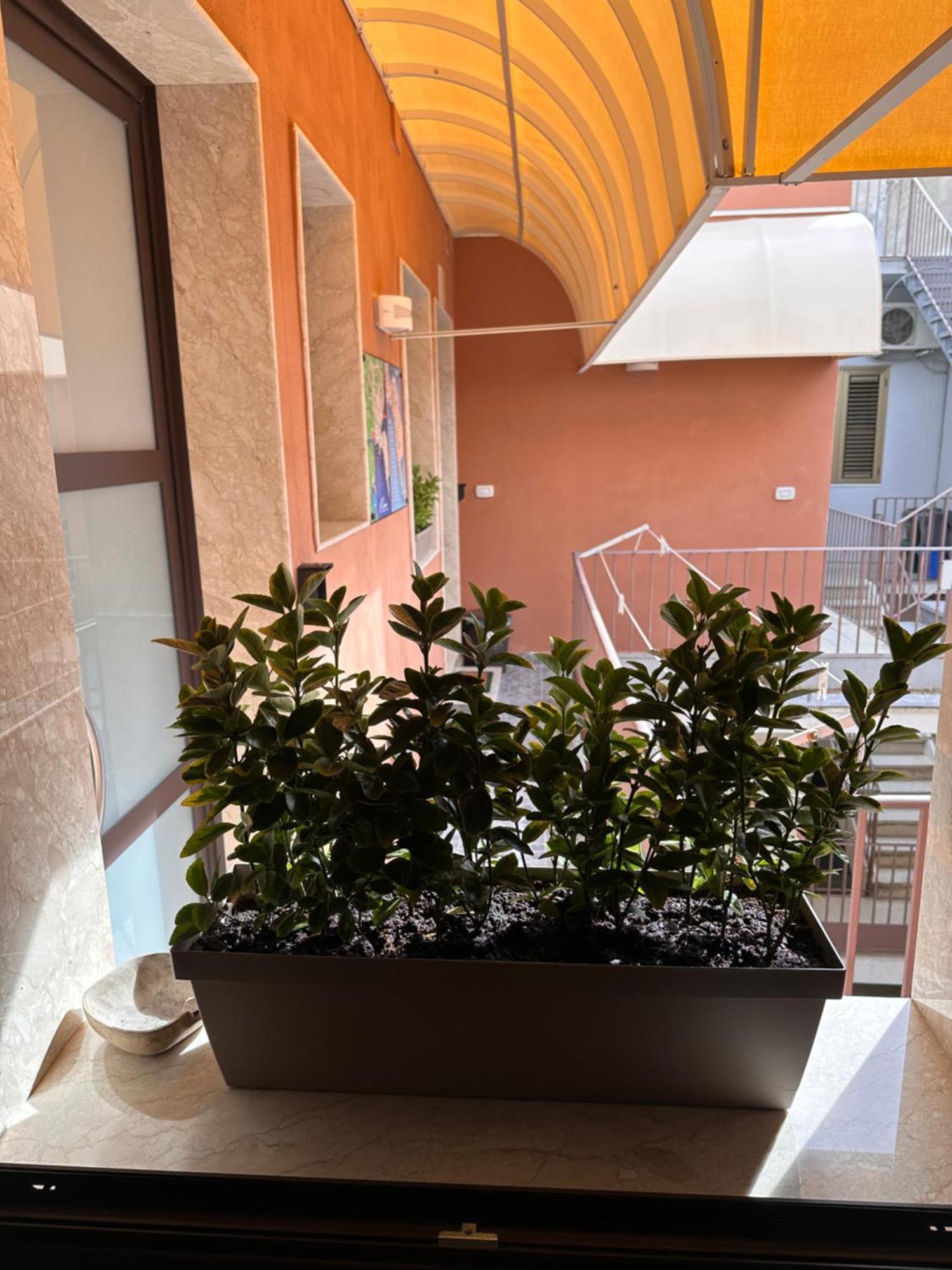 Le Camere Luxury Rooms Siracusa Συρακούσες Εξωτερικό φωτογραφία